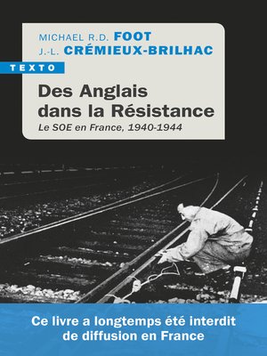 cover image of Des Anglais dans la Résistance